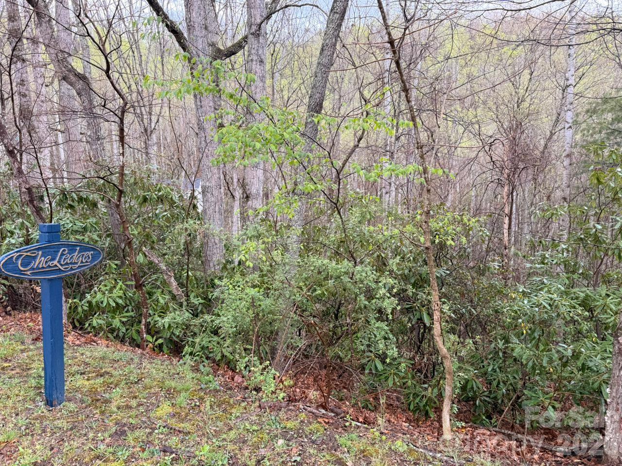Lot at 000 Ridgeview Drive, Hendersonville, photo 3 of 20