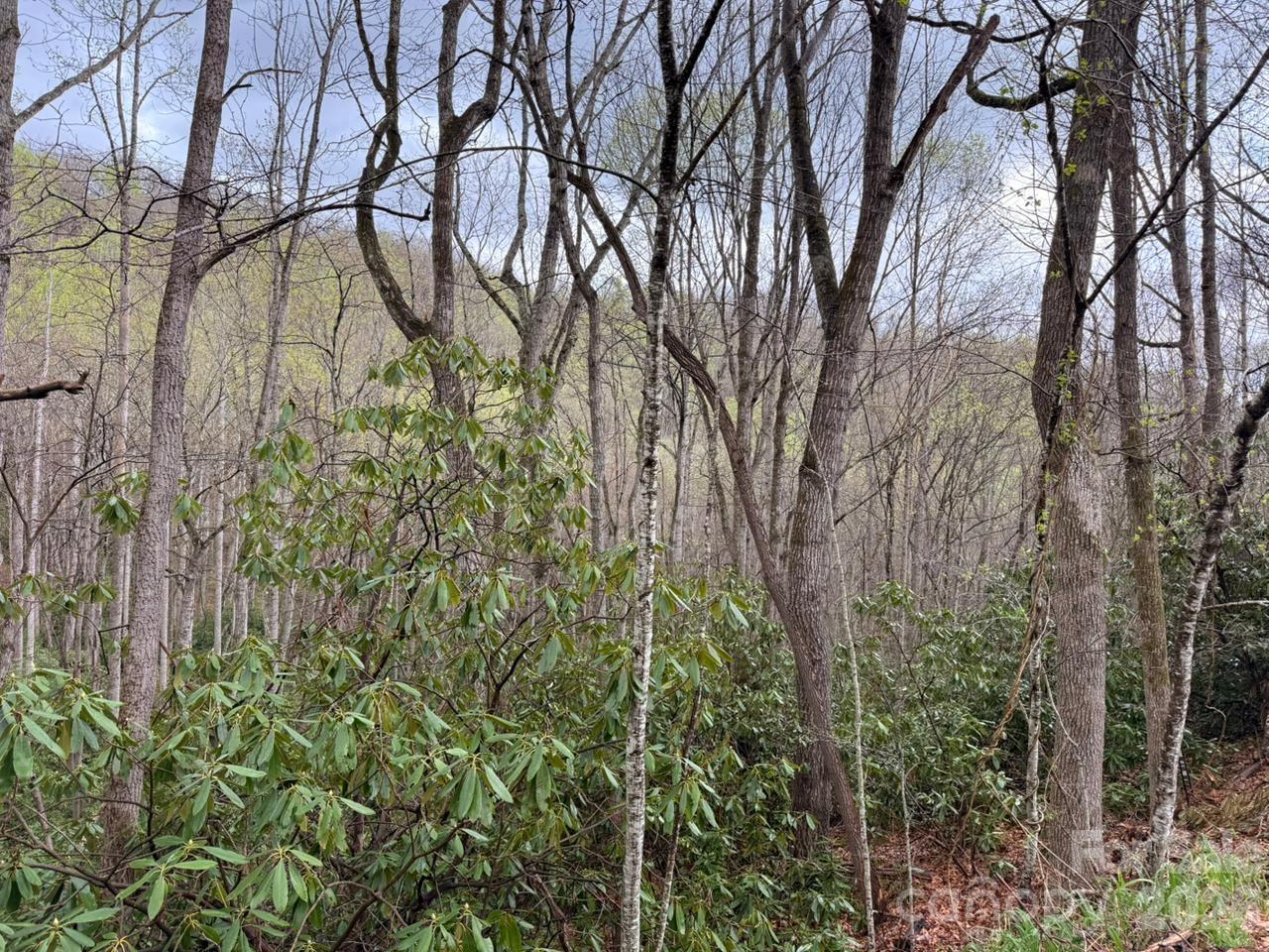 Lot at 000 Ridgeview Drive, Hendersonville, photo 2 of 20