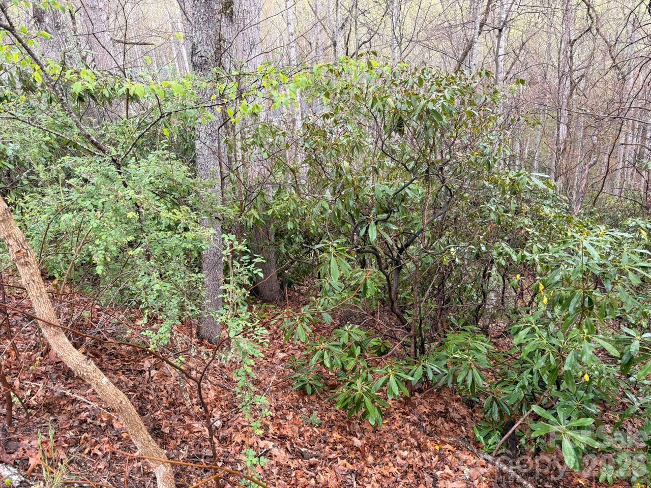 Lot at 000 Ridgeview Drive, Hendersonville, photo 6 of 20