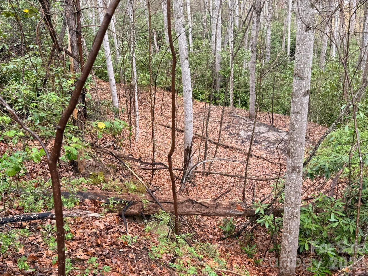 Lot at 000 Ridgeview Drive, Hendersonville, photo 7 of 20