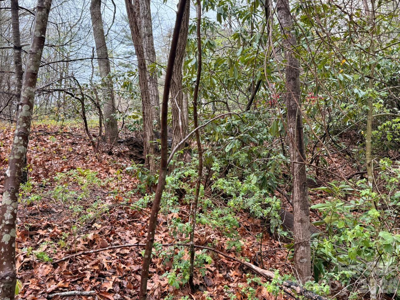 Lot at 000 Ridgeview Drive, Hendersonville, photo 9 of 20
