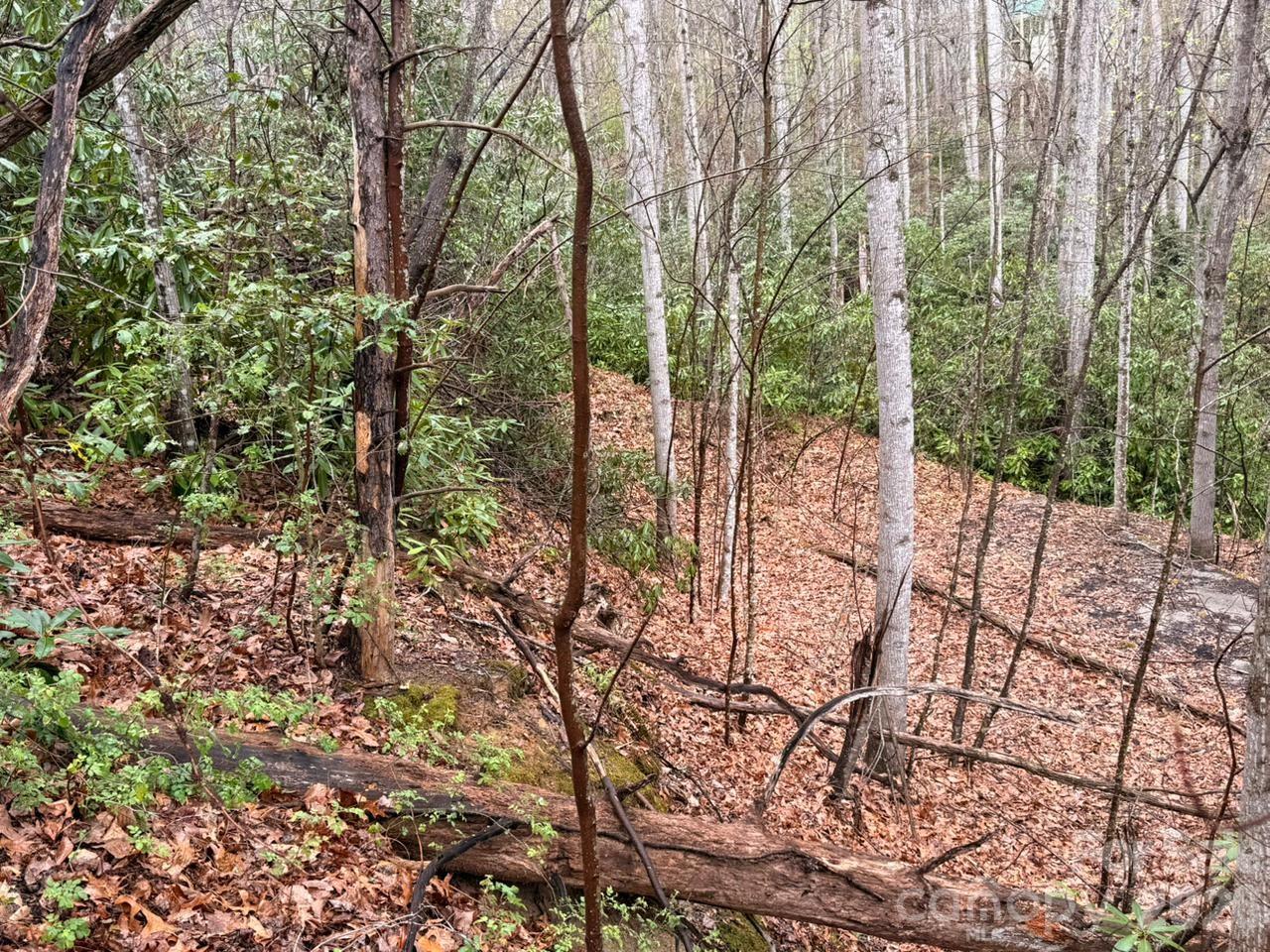 Lot at 000 Ridgeview Drive, Hendersonville, photo 10 of 20