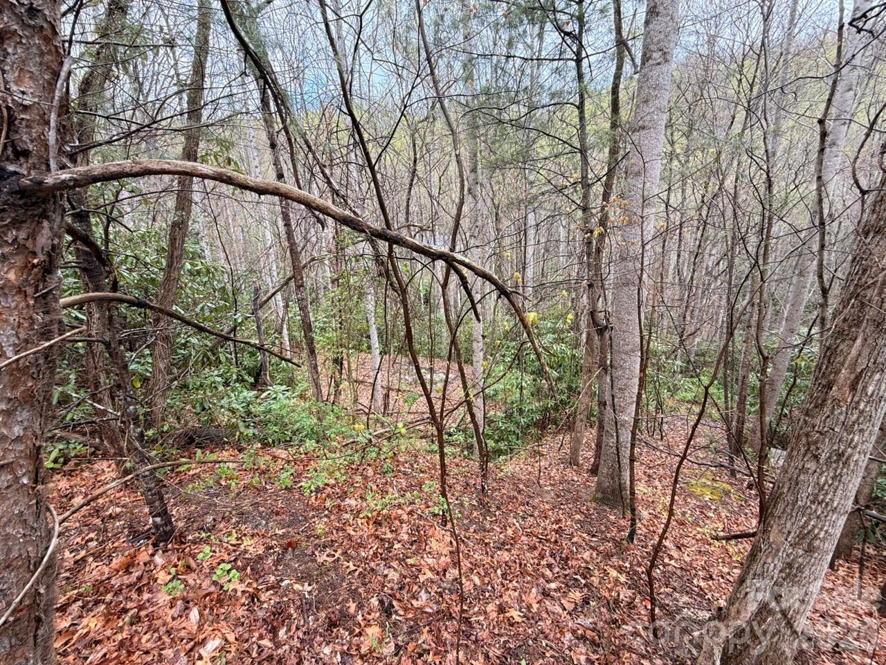 Lot at 000 Ridgeview Drive, Hendersonville, photo 11 of 20