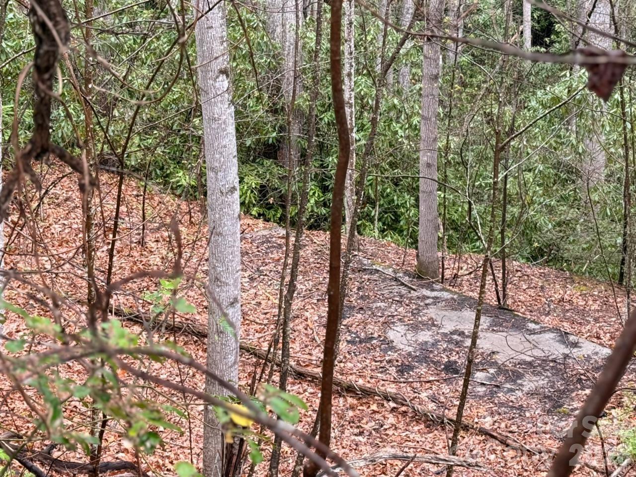 Lot at 000 Ridgeview Drive, Hendersonville, photo 14 of 20