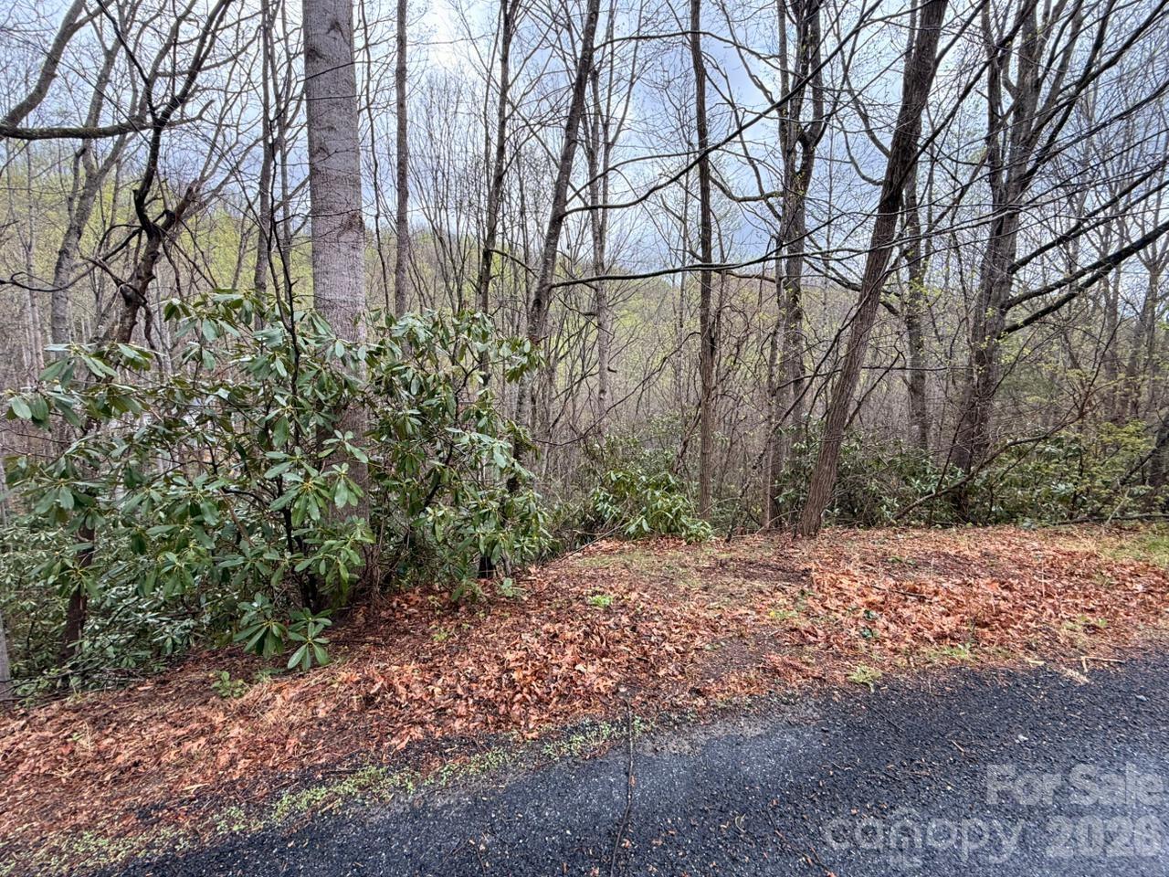 Lot at 000 Ridgeview Drive, Hendersonville, photo 15 of 20