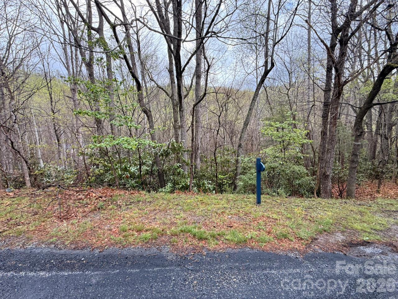 Lot at 000 Ridgeview Drive, Hendersonville, photo 16 of 20