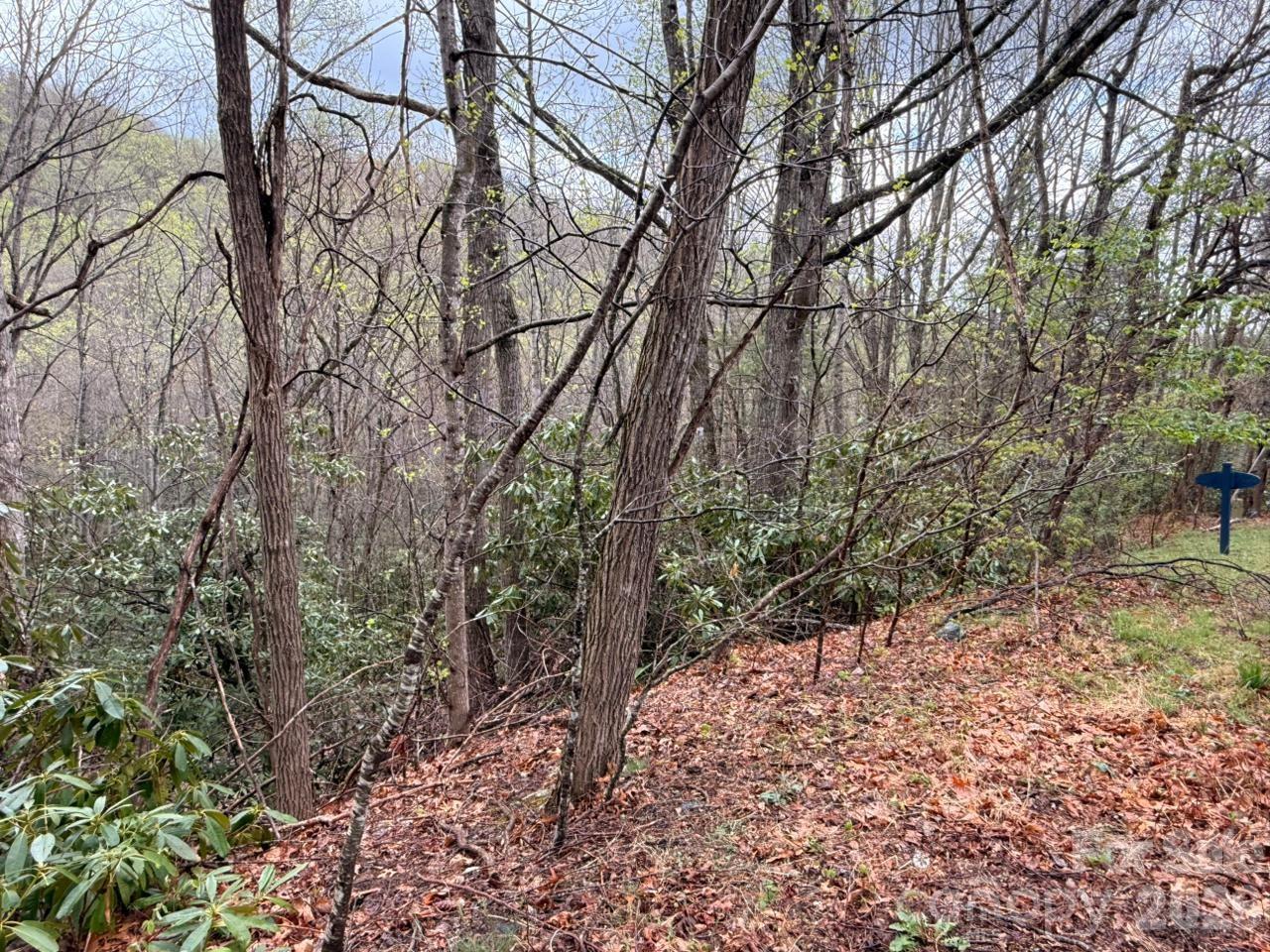 Lot at 000 Ridgeview Drive, Hendersonville, photo 17 of 20