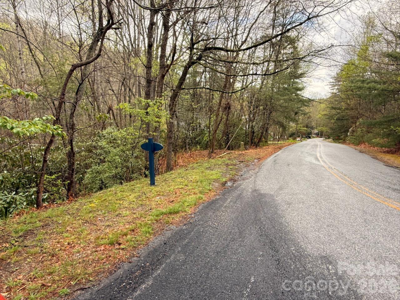Lot at 000 Ridgeview Drive, Hendersonville, photo 18 of 20