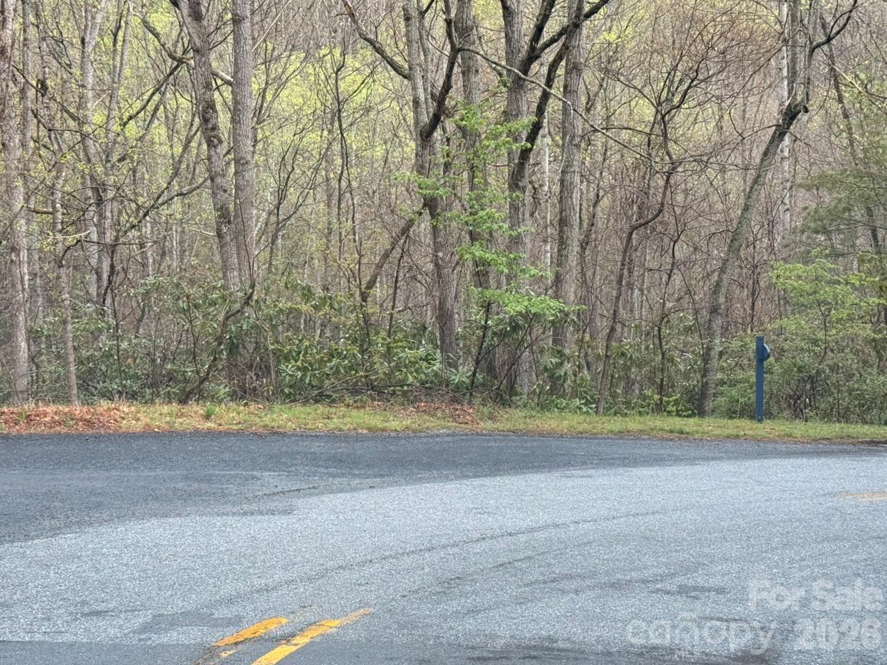 Lot at 000 Ridgeview Drive, Hendersonville, photo 20 of 20