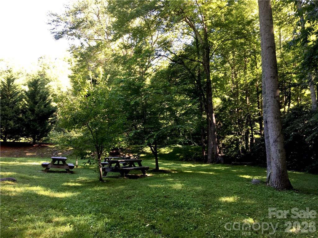Creekside Picnic Area (plenty of paved parking just beyond the evergreen hedge) - 99999 Red Oak Forest Road, Fairview