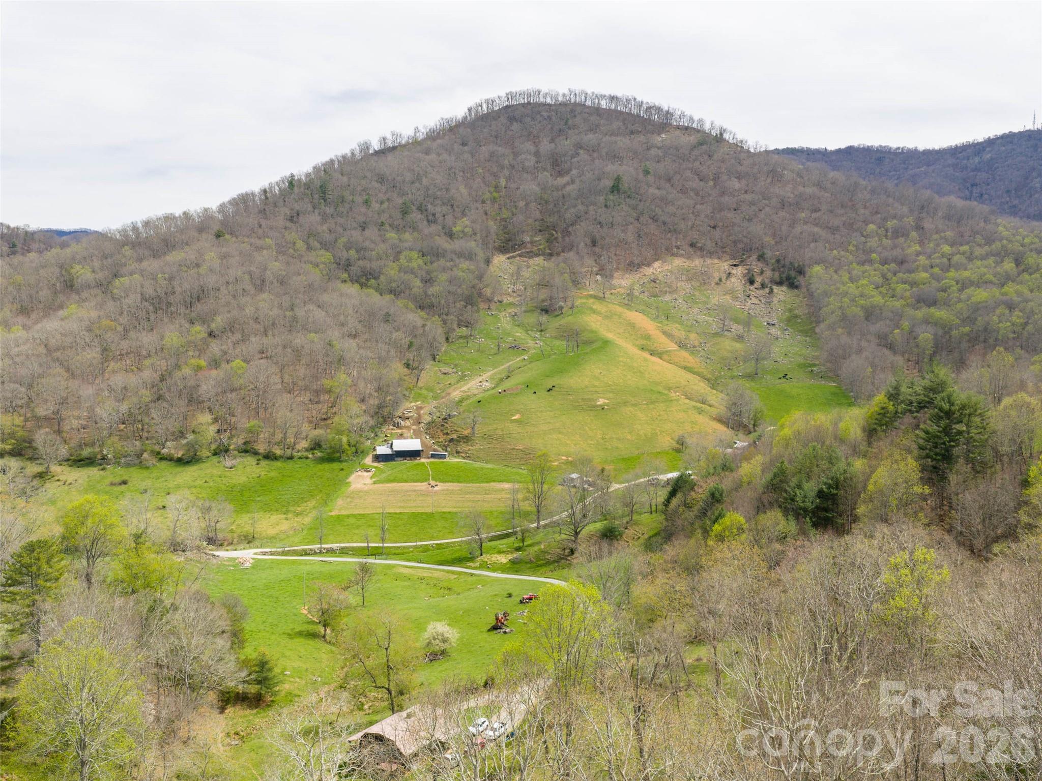 Lot at 00 Winfield Drive, Clyde, photo 4 of 10