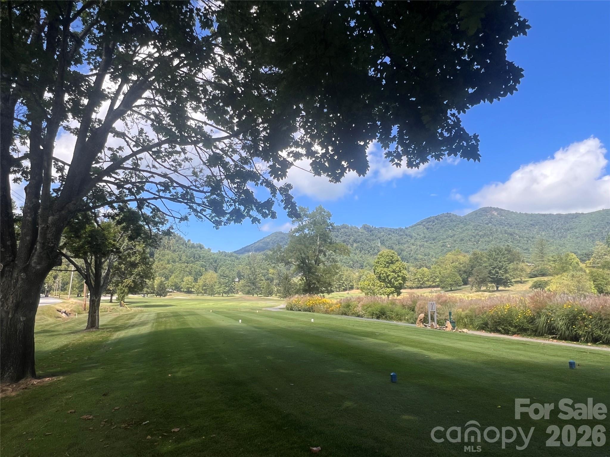 Springdale Resort Hole #5 - 100 Bear Tree Cove, Canton
