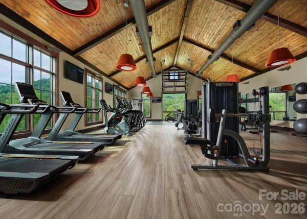 Springdale Resort Fitness Center - 100 Bear Tree Cove, Canton