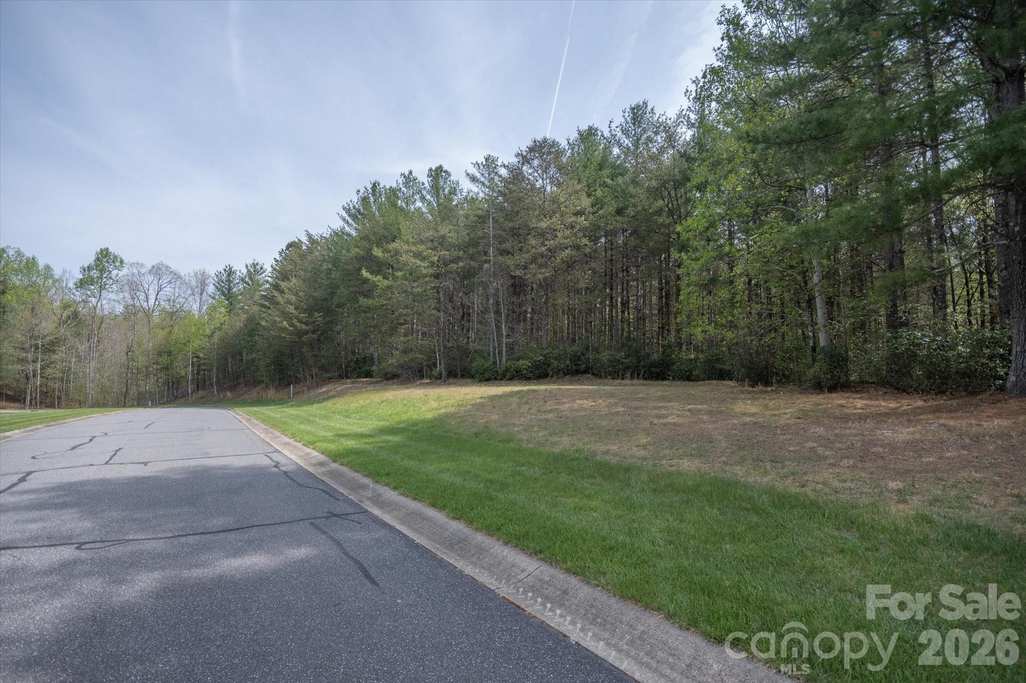 Lot at 103 Big Tree Way, Nebo, photo 3 of 15