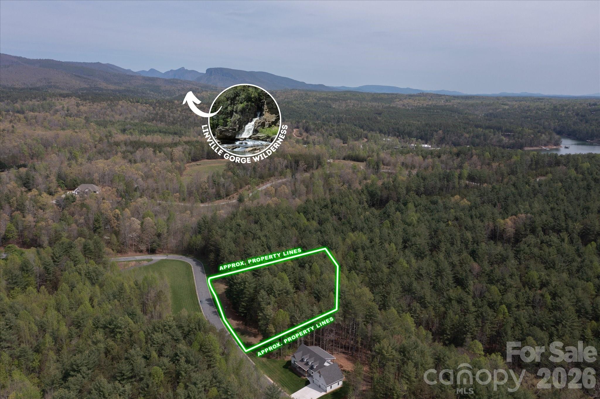 Lot at 103 Big Tree Way, Nebo, photo 9 of 15