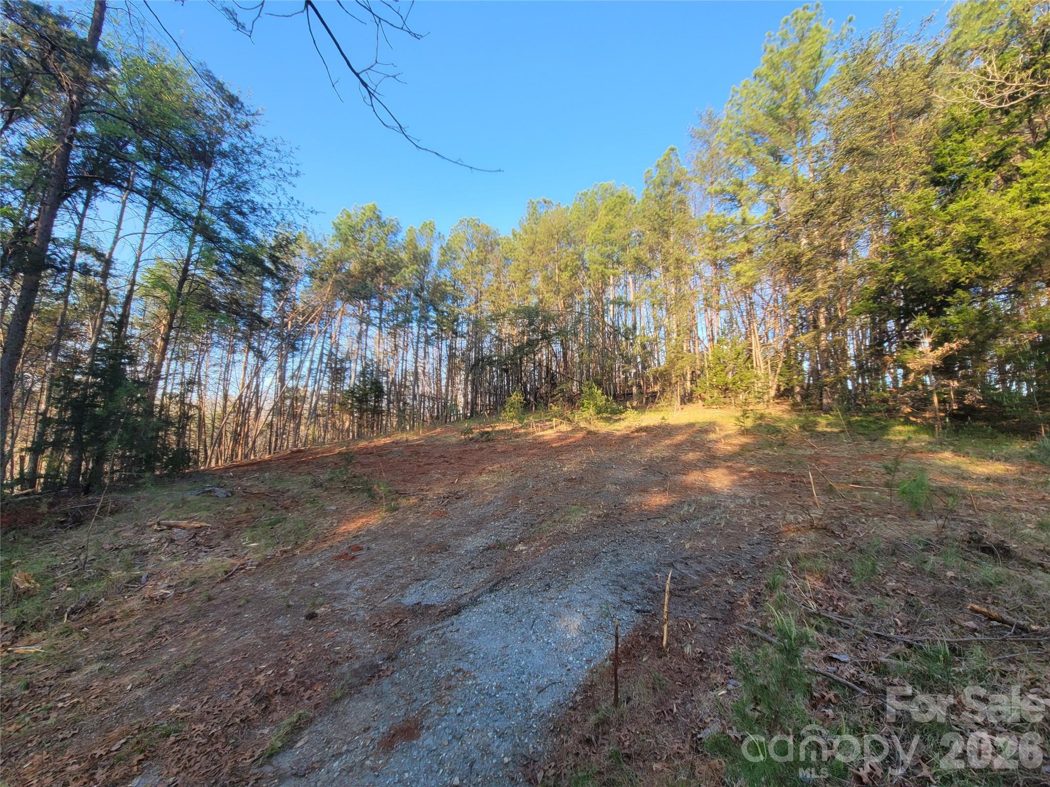 Lot at 0 Cozy Lane, Lake Lure, photo 3 of 10