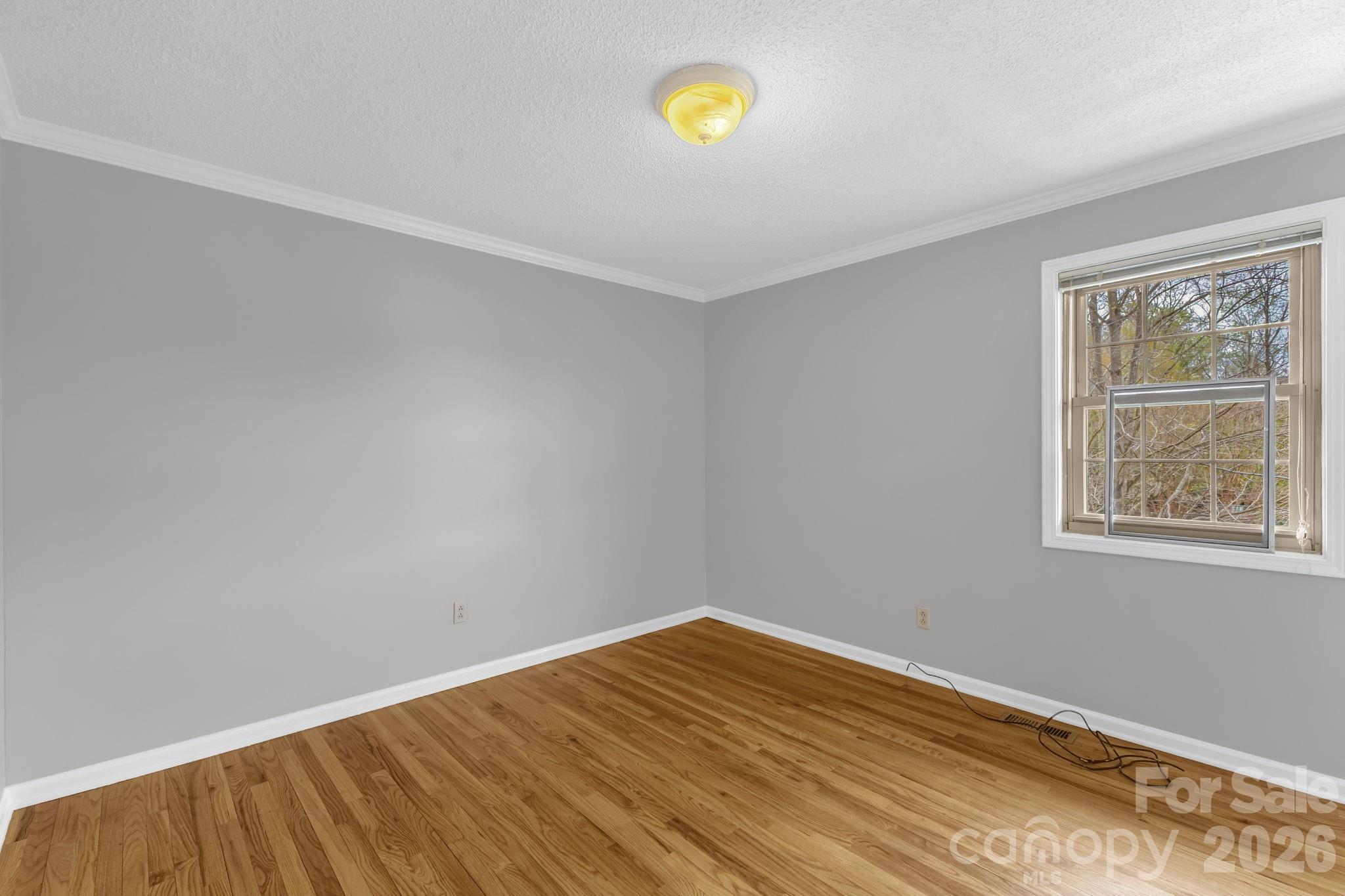 2nd bedroom main level - 147 Elkwood Road, Asheville