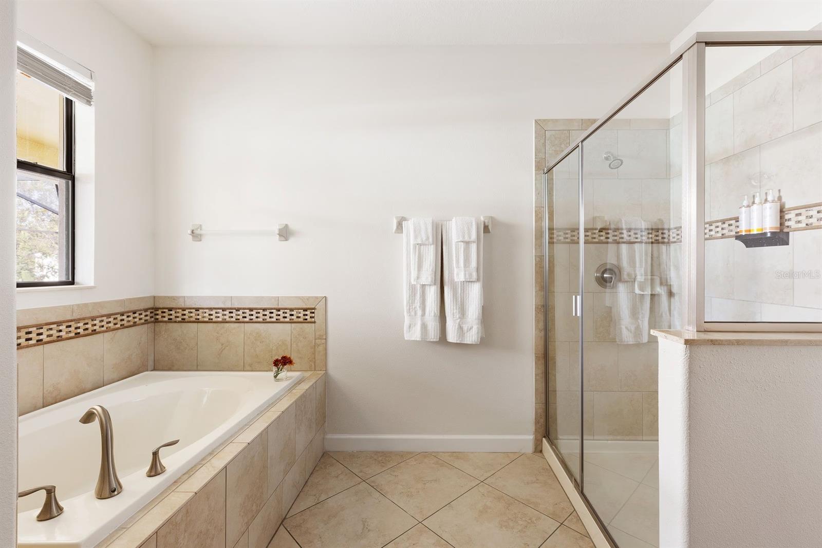 Downstairs Primary bathroom - 9034 SHADOW MOUNTAIN ST, DAVENPORT