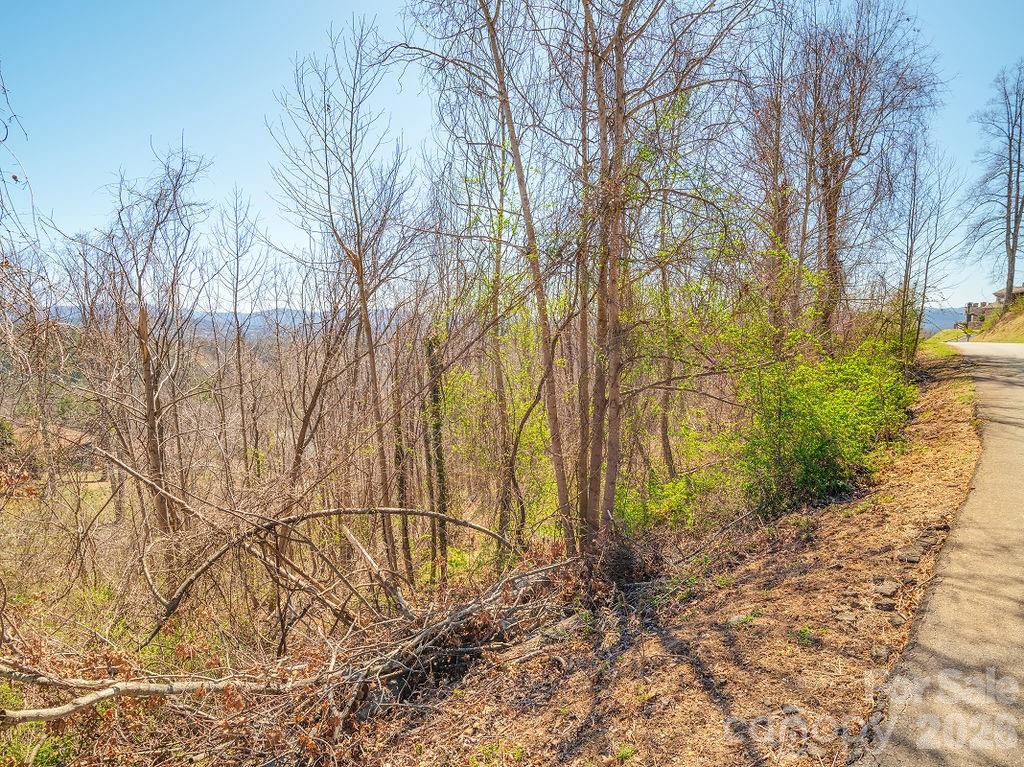 Paved road frontage with city water + sewer. - 61 Ben Lippen School Road, Asheville