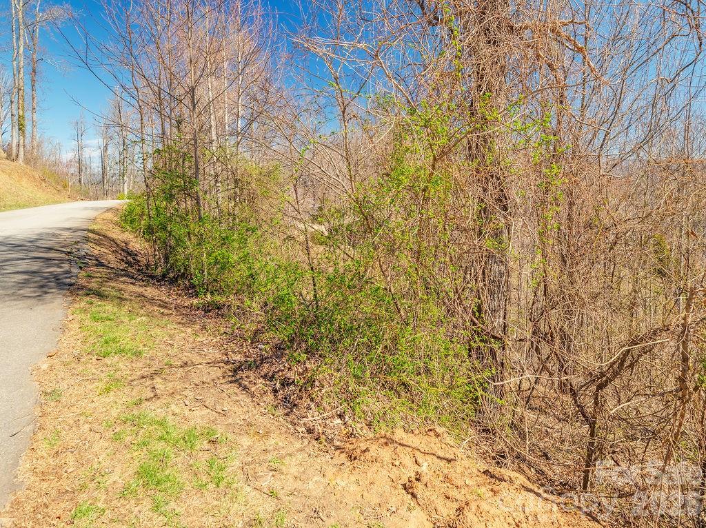 Ready for your dream home. - 61 Ben Lippen School Road, Asheville