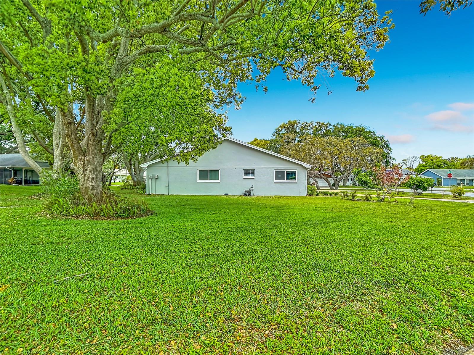 Side yard view. Large corner lot with great privacy. - 12709 CASTLEBERRY CT, HUDSON