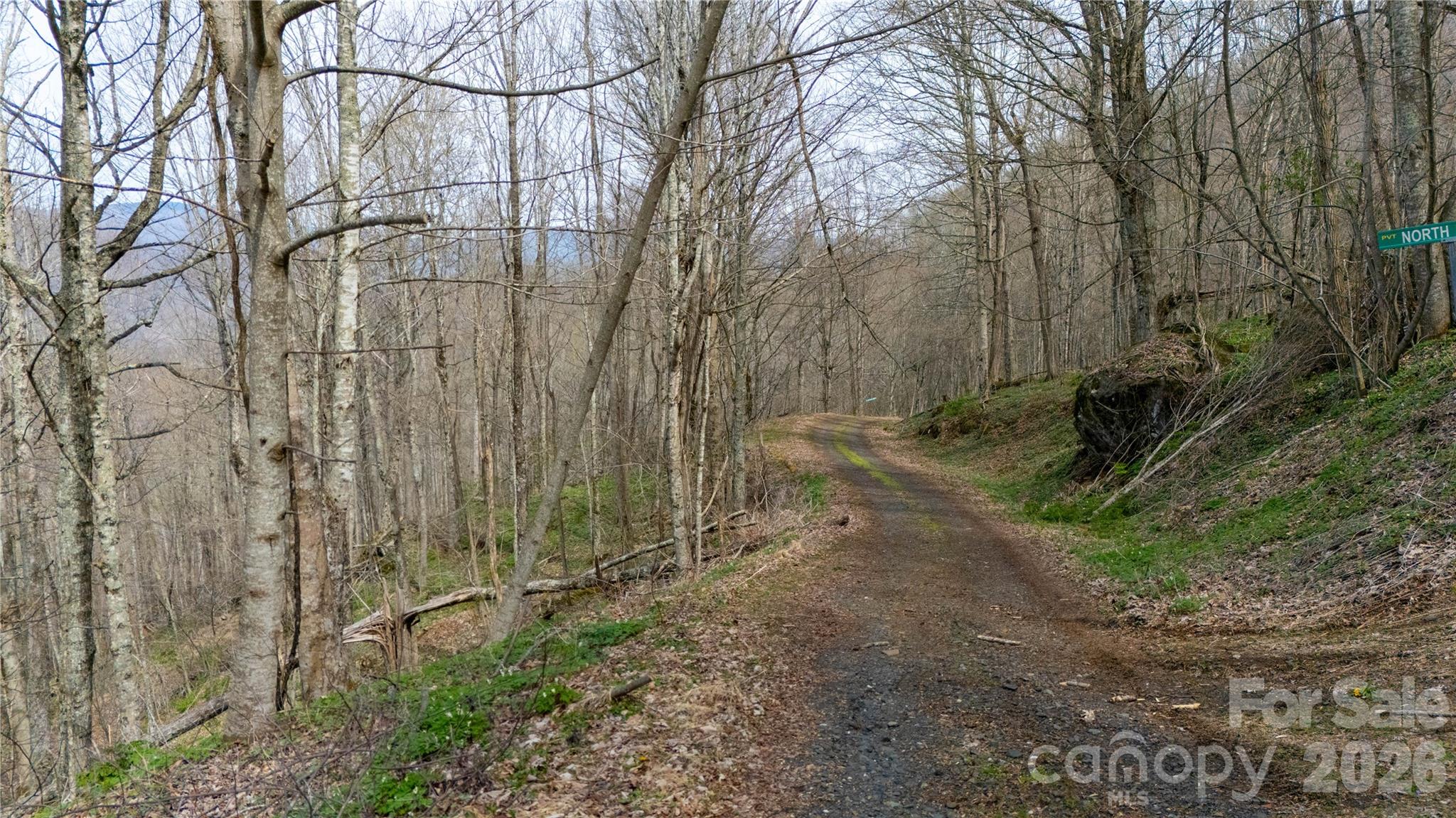 Lot at 000 Tyler Lane, Bakersville, photo 3 of 16