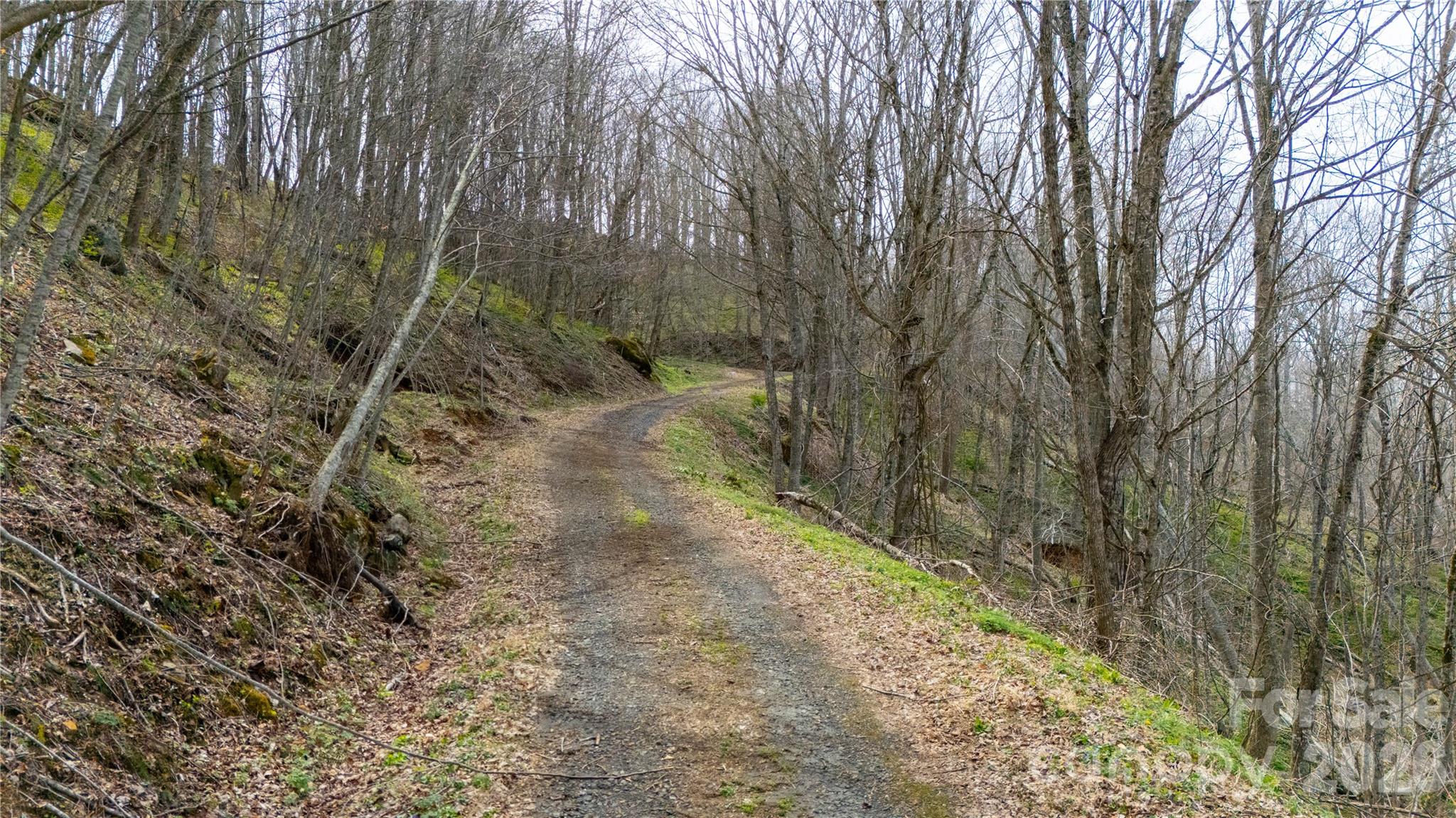 Lot at 000 Tyler Lane, Bakersville, photo 5 of 16