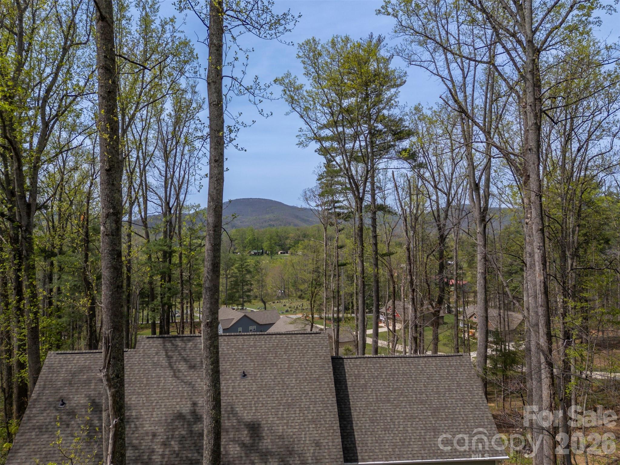 Single Family Residence at 88 Pounding Mill None, Hendersonville, photo 43 of 48
