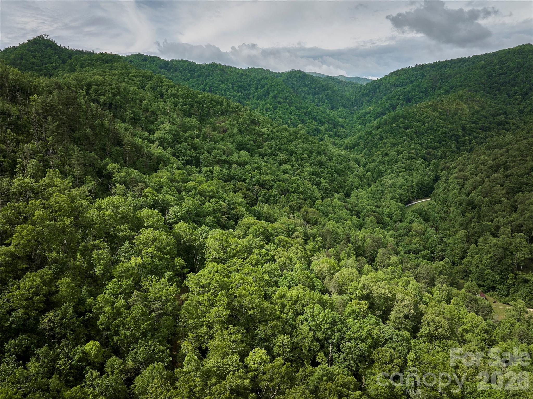Acreage at 0 Holly House Road, Bryson City, photo 16 of 20