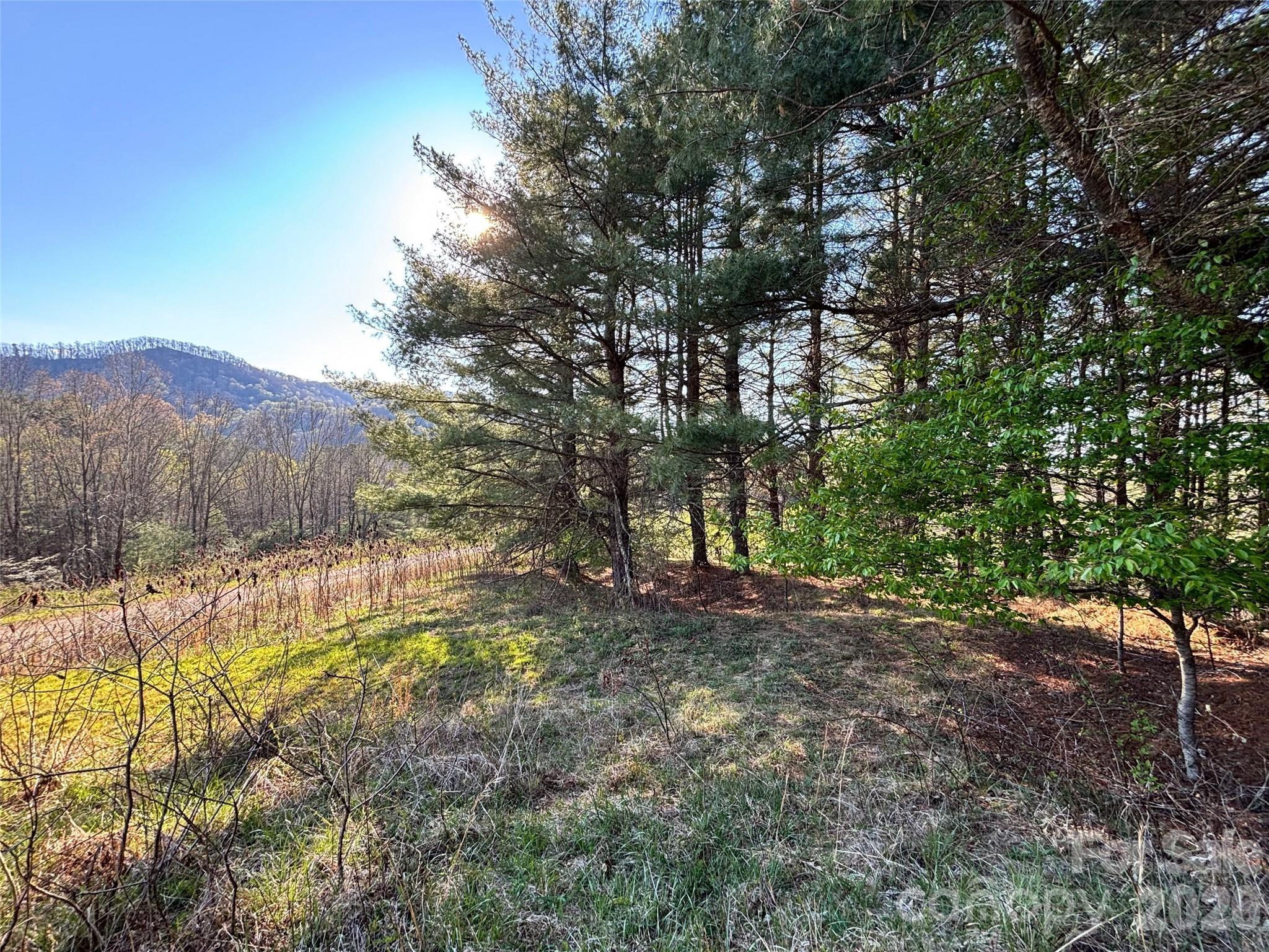 Lot at 24 Dream Valley Drive, Clyde, photo 2 of 19