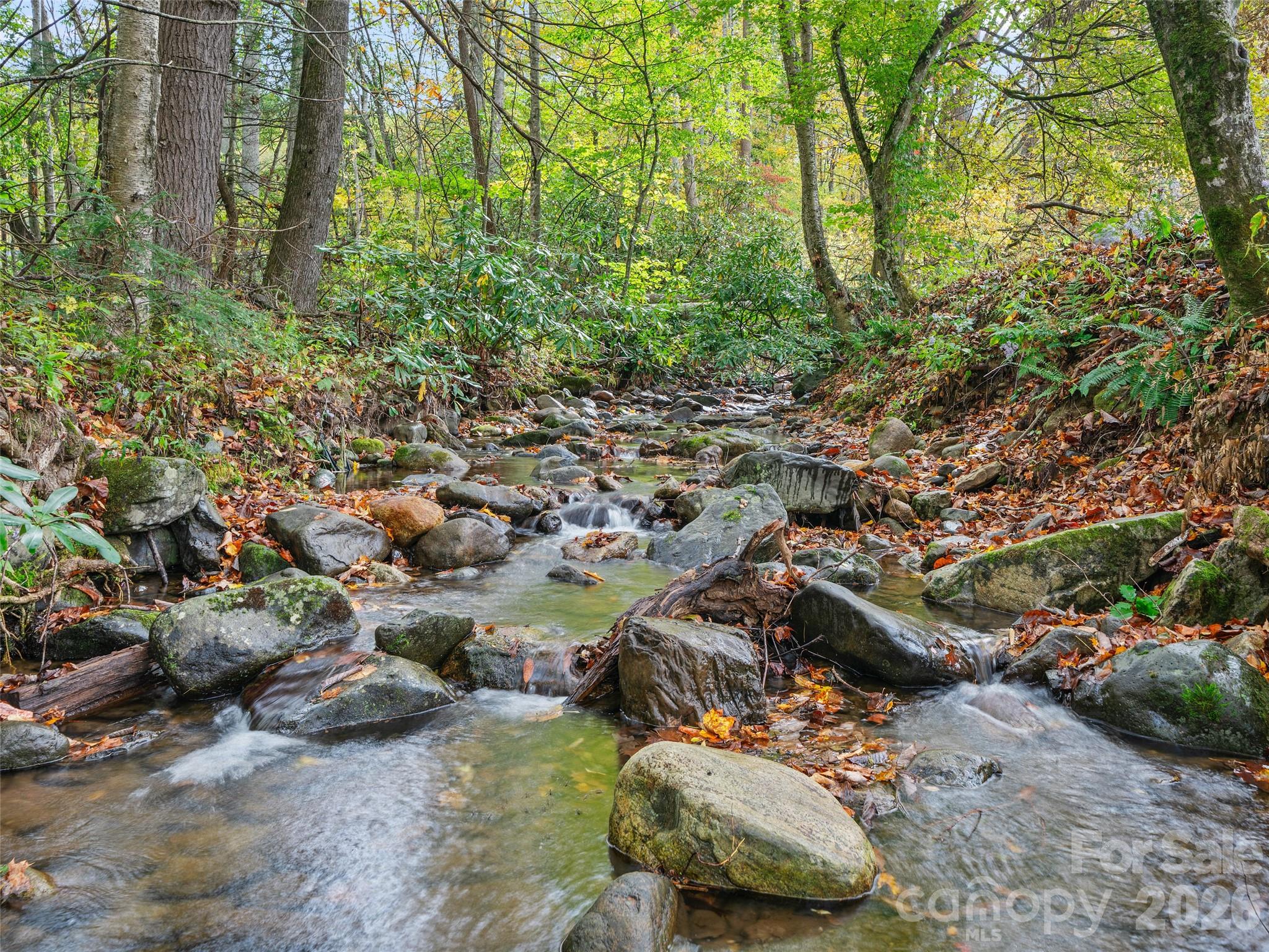 Beautiful creek on the property - 1030 Hughes Gap Road, Bakersville