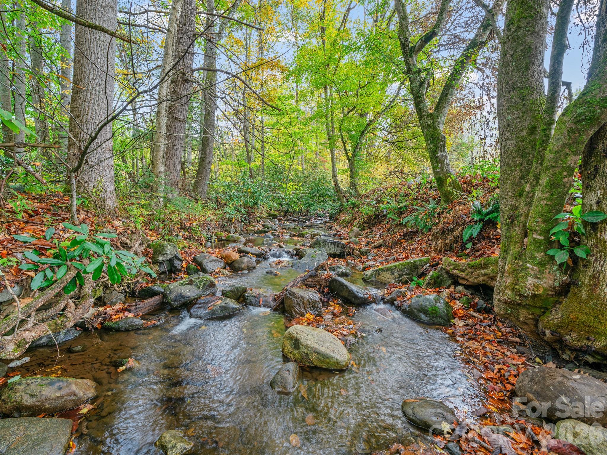 Enjoy the sound of this peaceful creek on property! - 1030 Hughes Gap Road, Bakersville