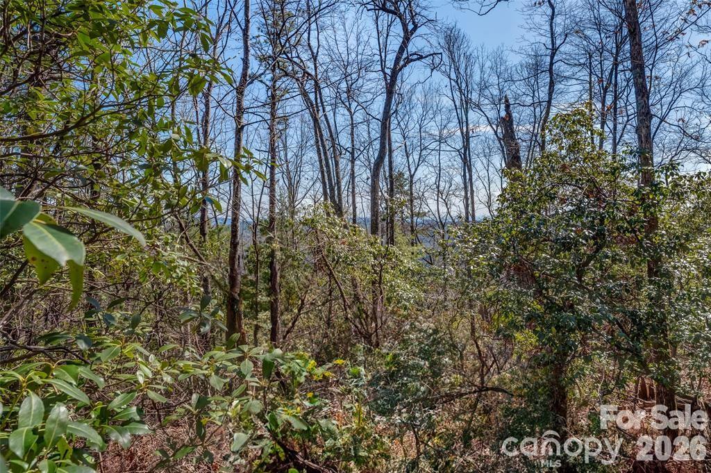 Lot at TBD Loganberry Lane, Lake Toxaway, photo 4 of 13