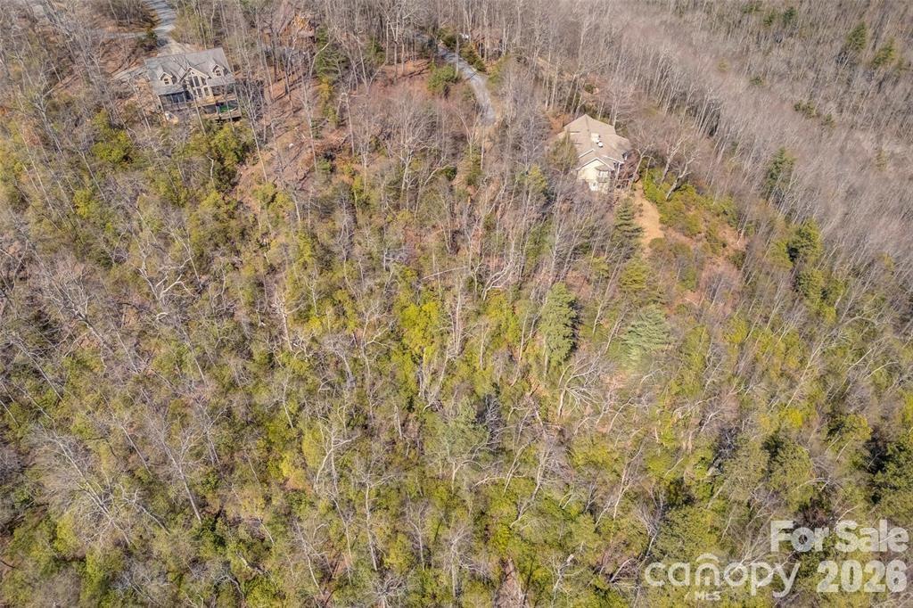 Lot at TBD Loganberry Lane, Lake Toxaway, photo 8 of 13