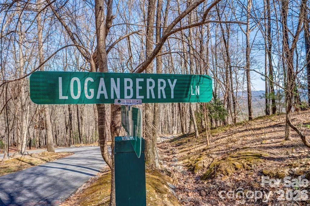 Lot at TBD Loganberry Lane, Lake Toxaway, photo 10 of 13