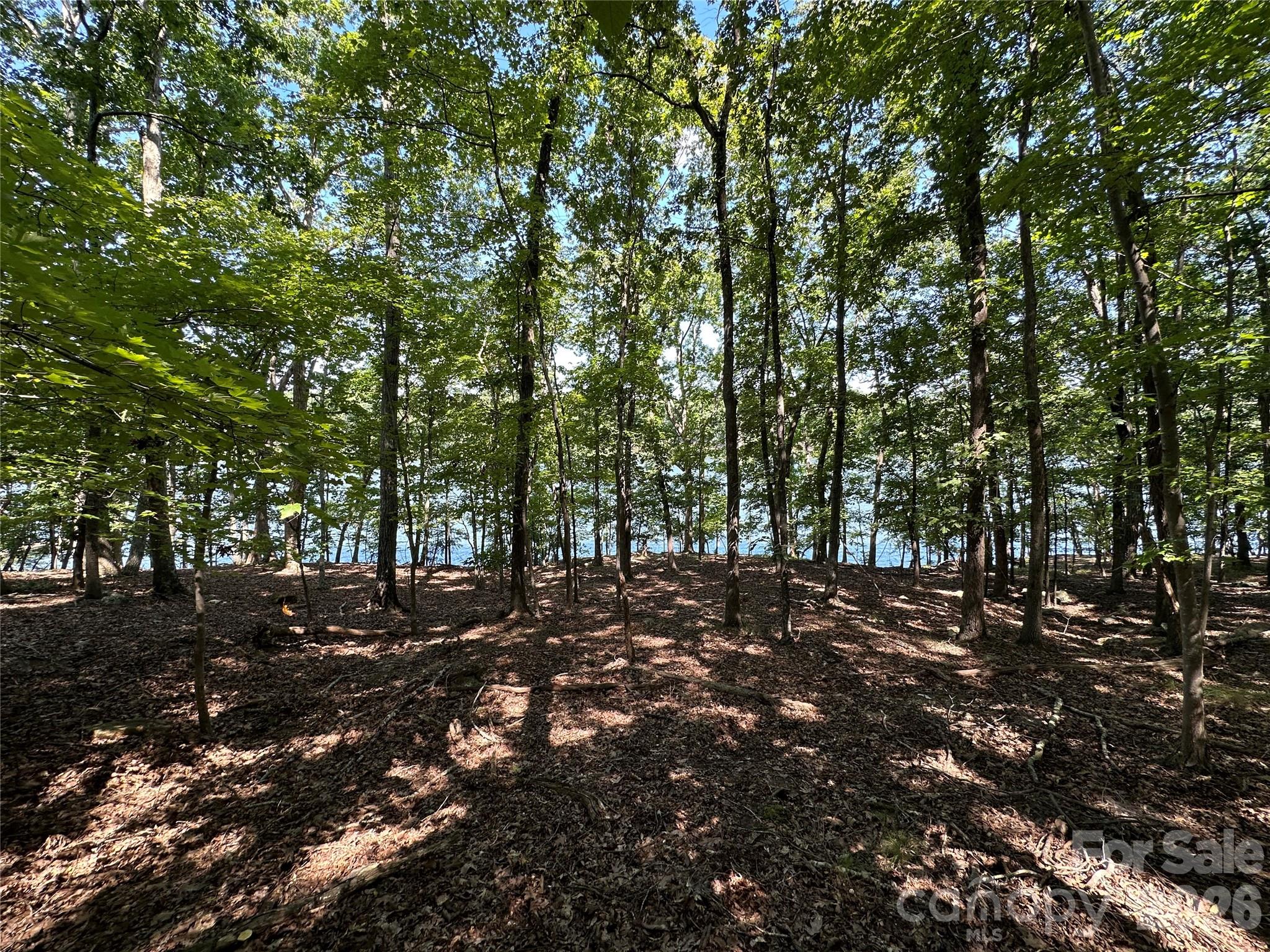 Lot at 1768 Rocky Cove Lane, Denton, photo 6 of 12
