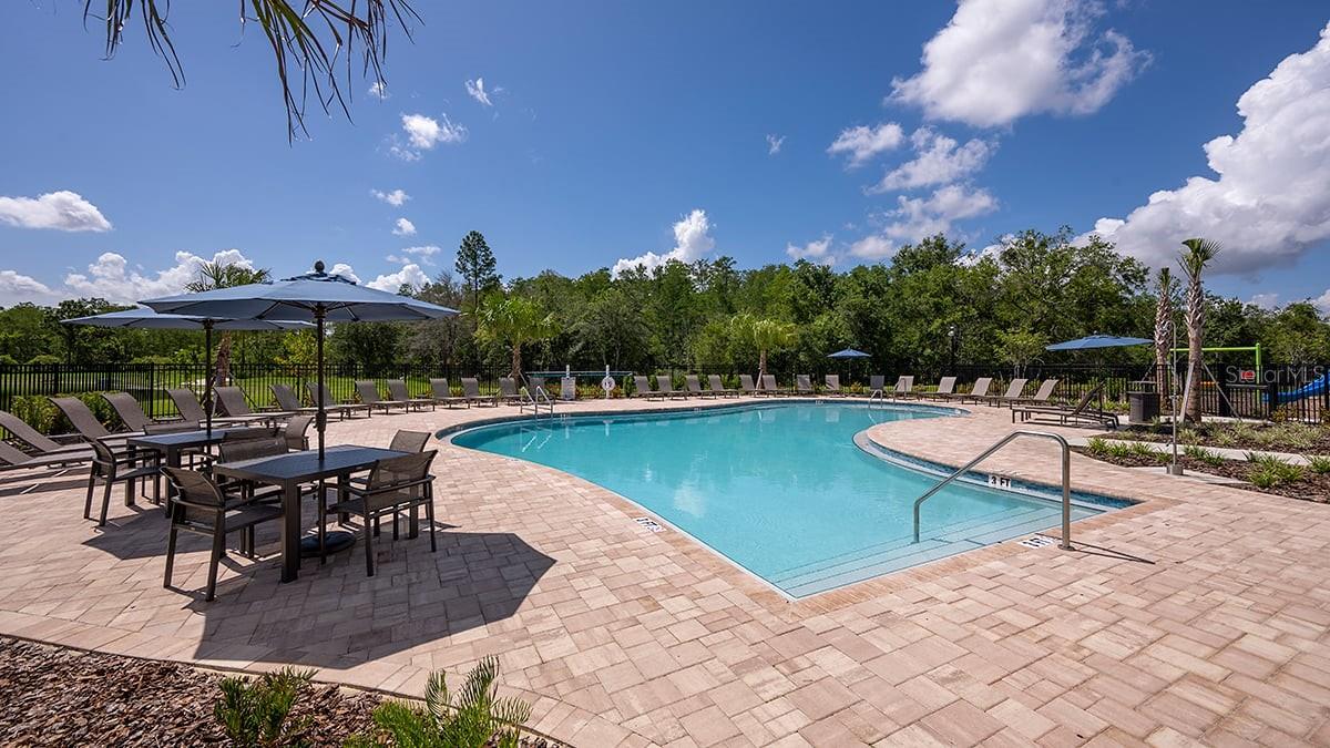 Firethorn Community ~ Proposed Amenity - 14219 SAWMILL ST, PARRISH