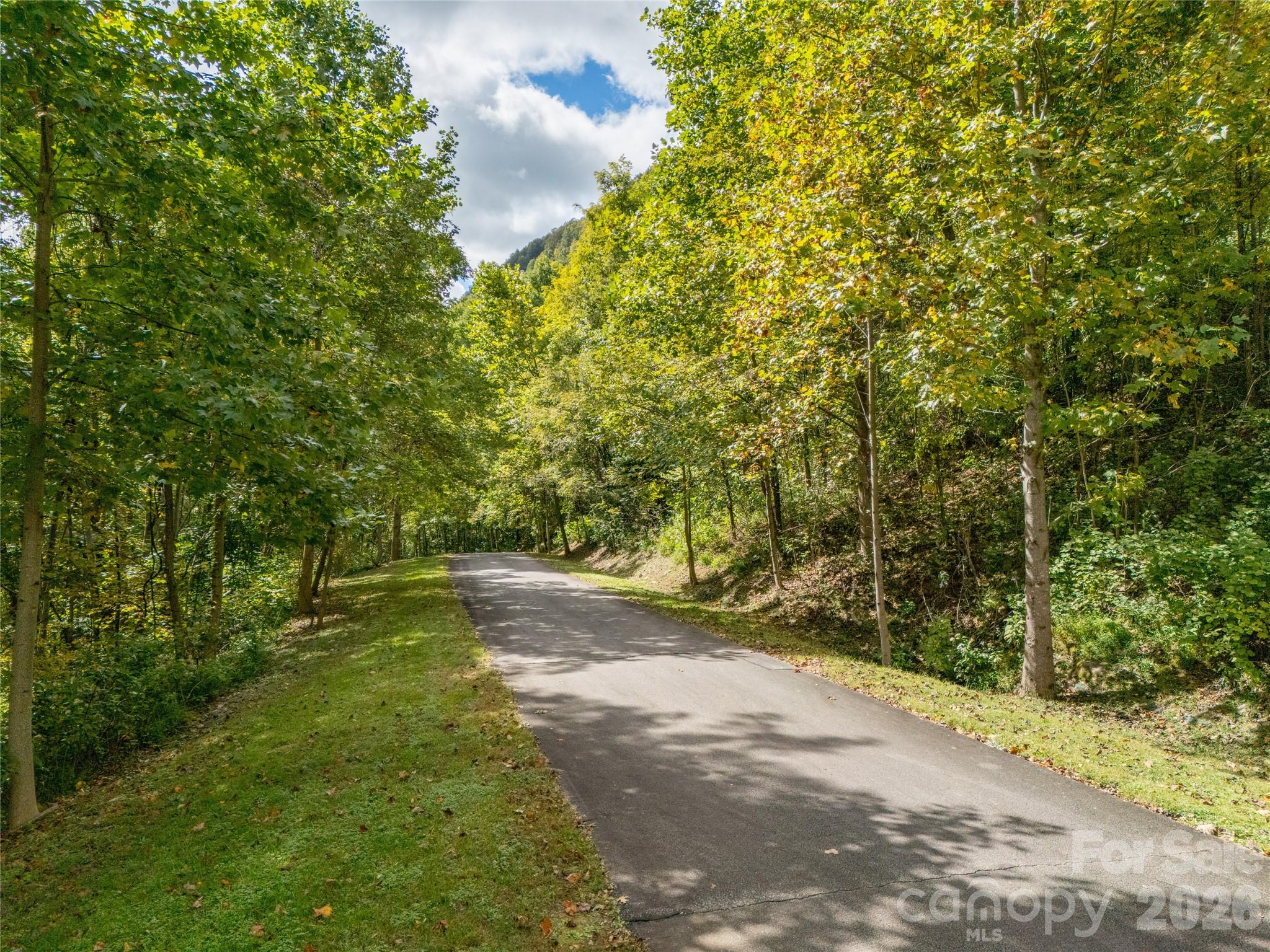 Lot at 000 Deep Gap Farm Drive, Mill Spring, photo 13 of 35