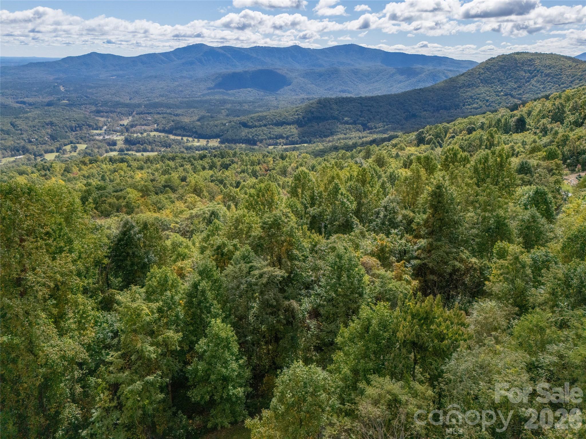 Lot at 000 Deep Gap Farm Drive, Mill Spring, photo 14 of 35