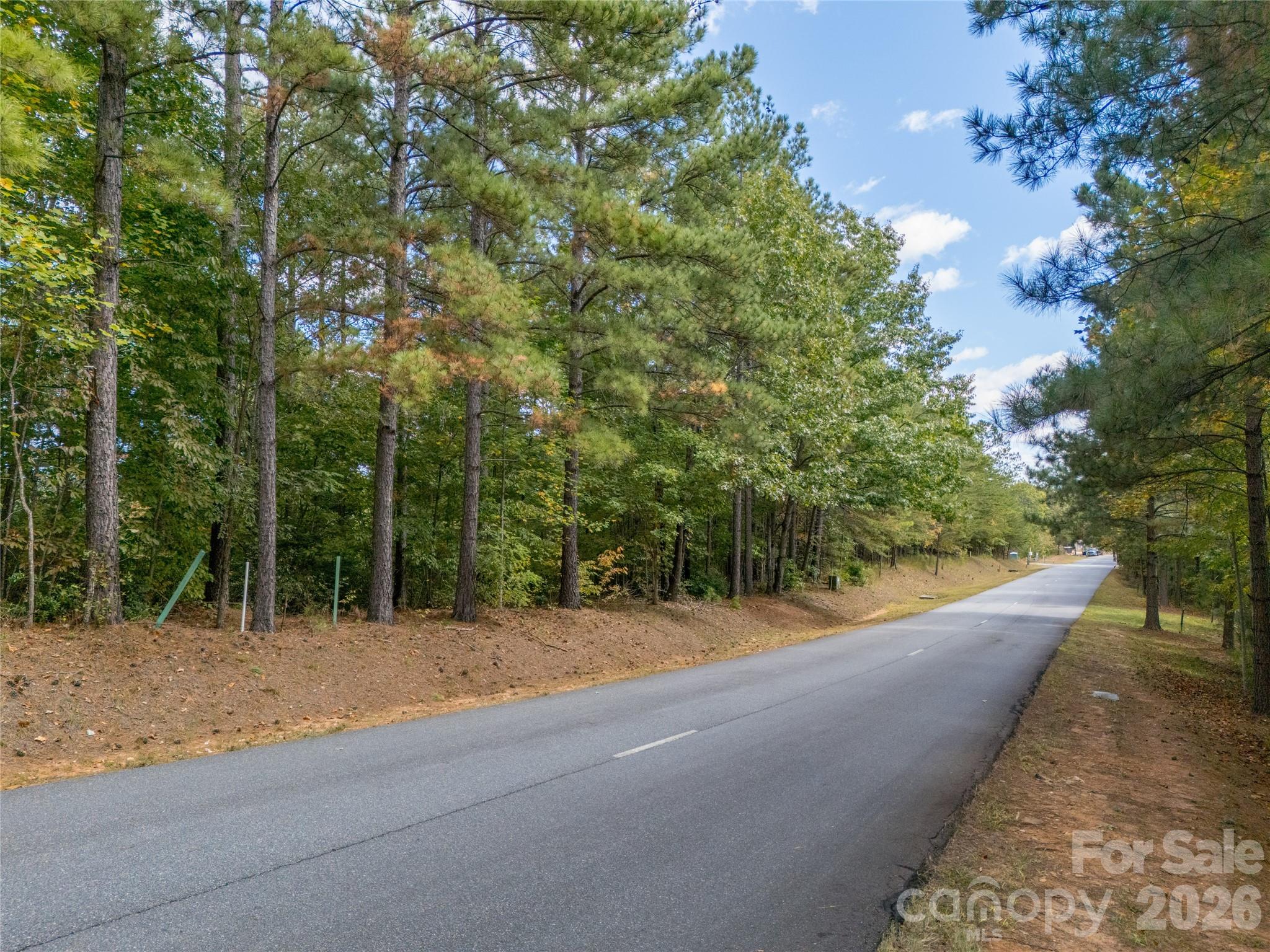 Lot at 000 Deep Gap Farm Drive, Mill Spring, photo 21 of 35