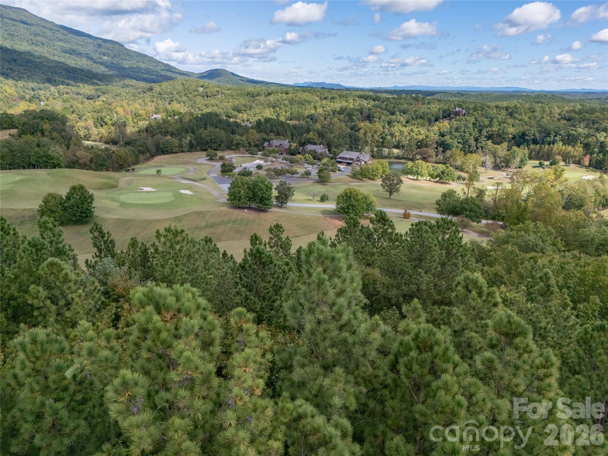 Lot at 000 Deep Gap Farm Drive, Mill Spring, photo 23 of 35