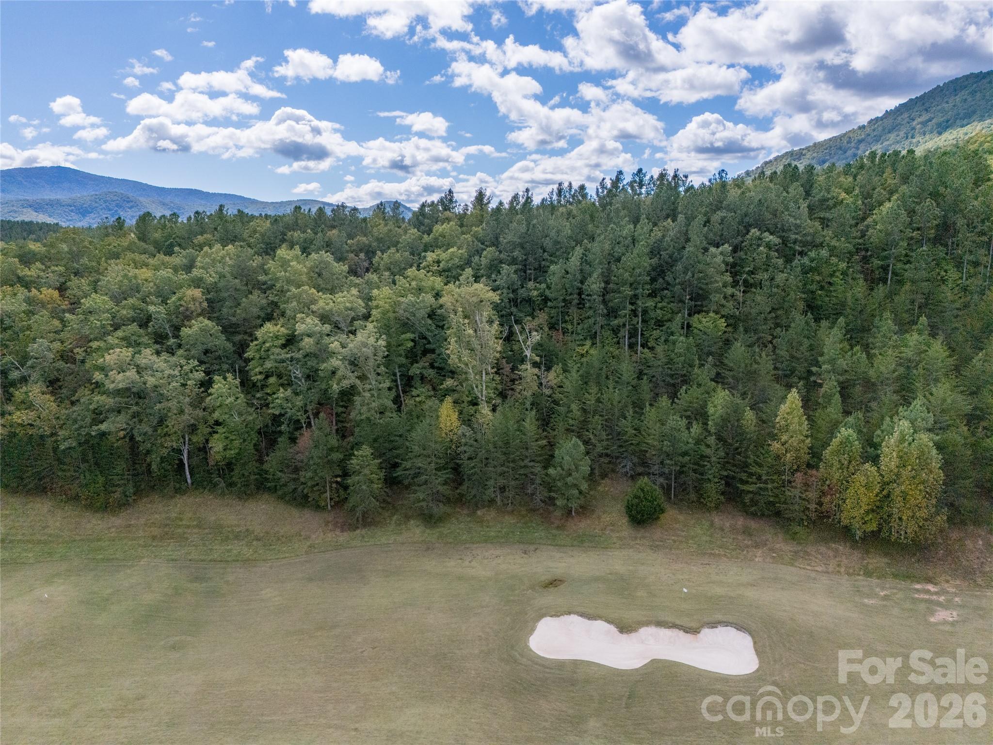Lot at 000 Deep Gap Farm Drive, Mill Spring, photo 26 of 35