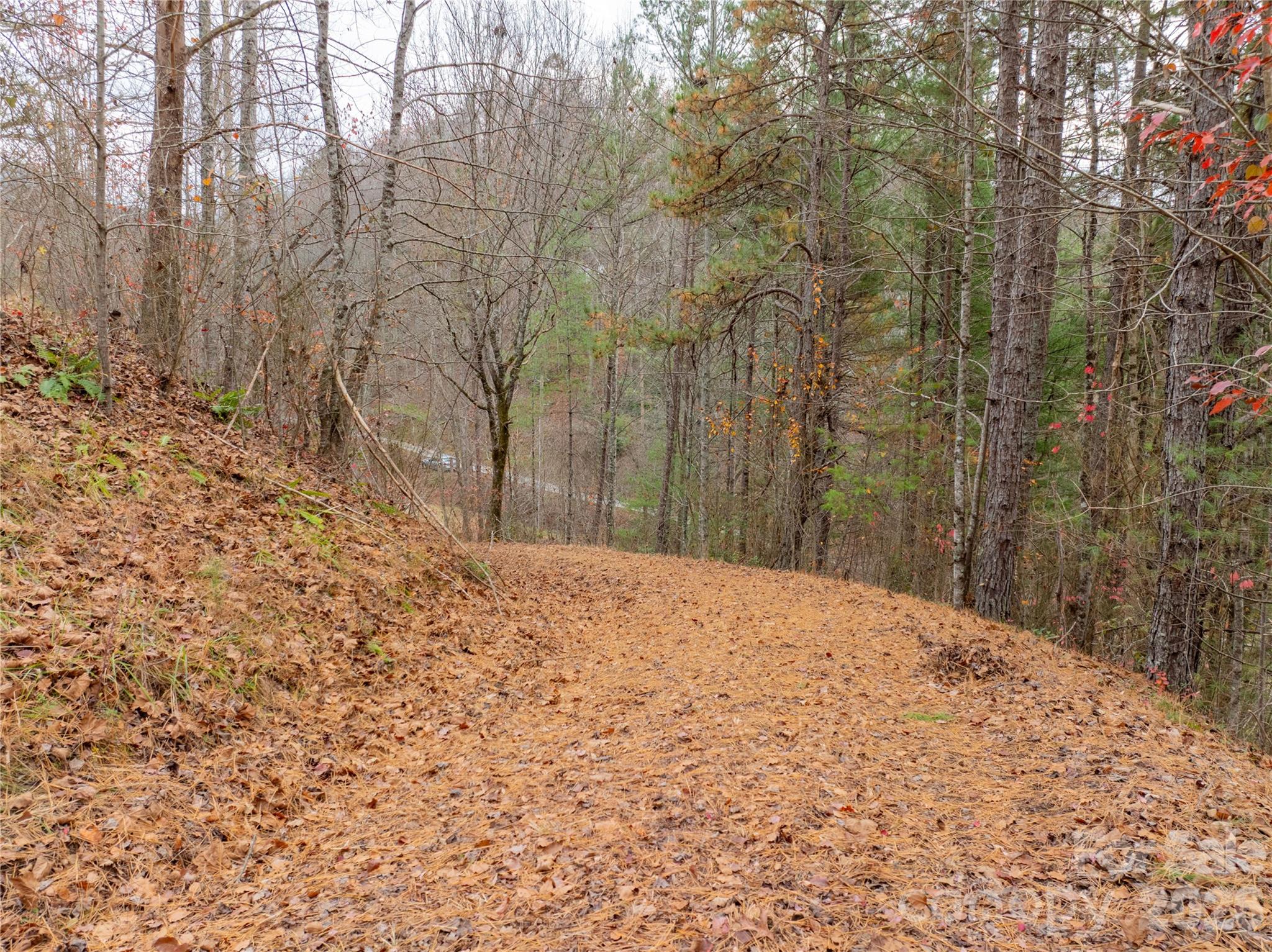 Acreage at 104 Robin Lane, Bryson City, photo 20 of 47