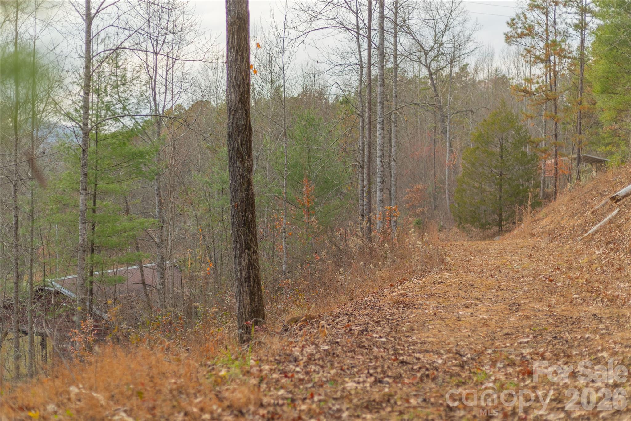 Acreage at 104 Robin Lane, Bryson City, photo 44 of 47