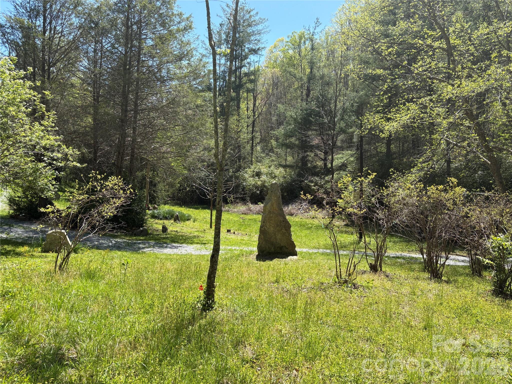 Acreage at 276 Cedar Creek Road, Black Mountain, photo 2 of 27