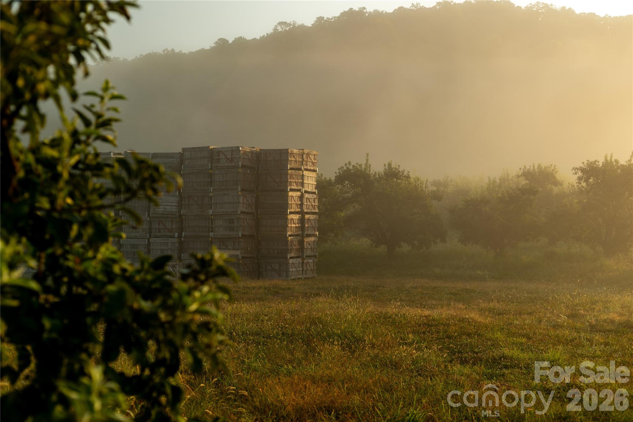Farm at TBD Old Clear Creek Road, Hendersonville