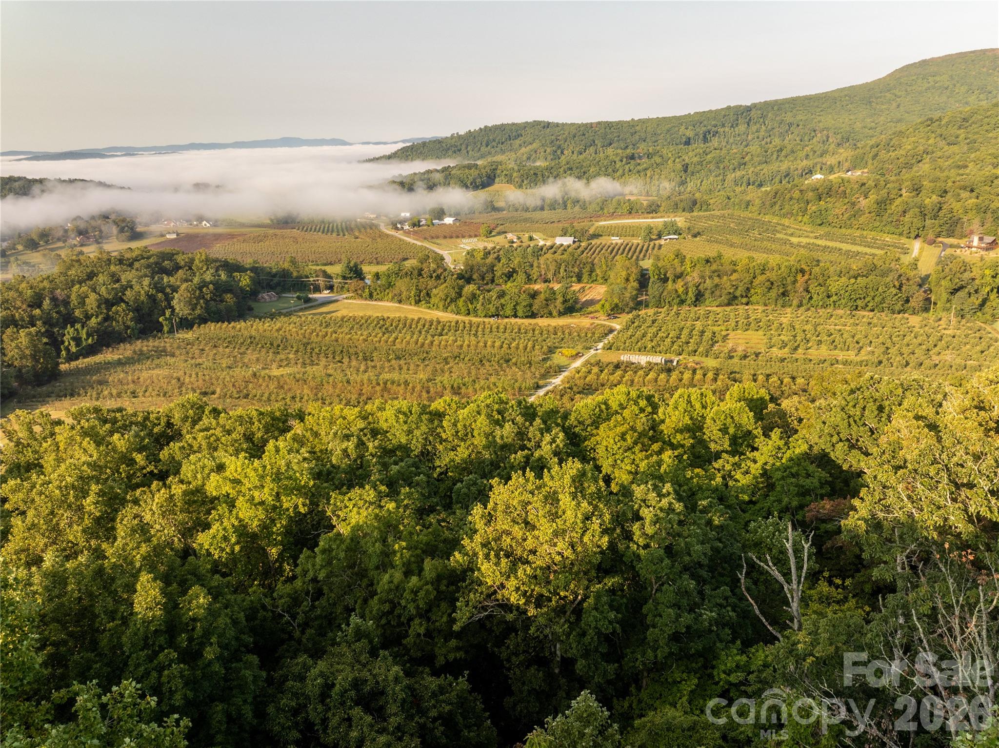 Farm at TBD Old Clear Creek Road, Hendersonville, photo 2 of 19