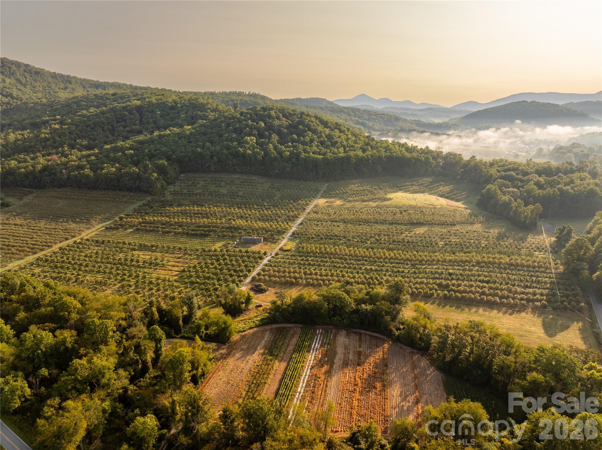 Sunrise in the orchard - TBD Old Clear Creek Road, Hendersonville