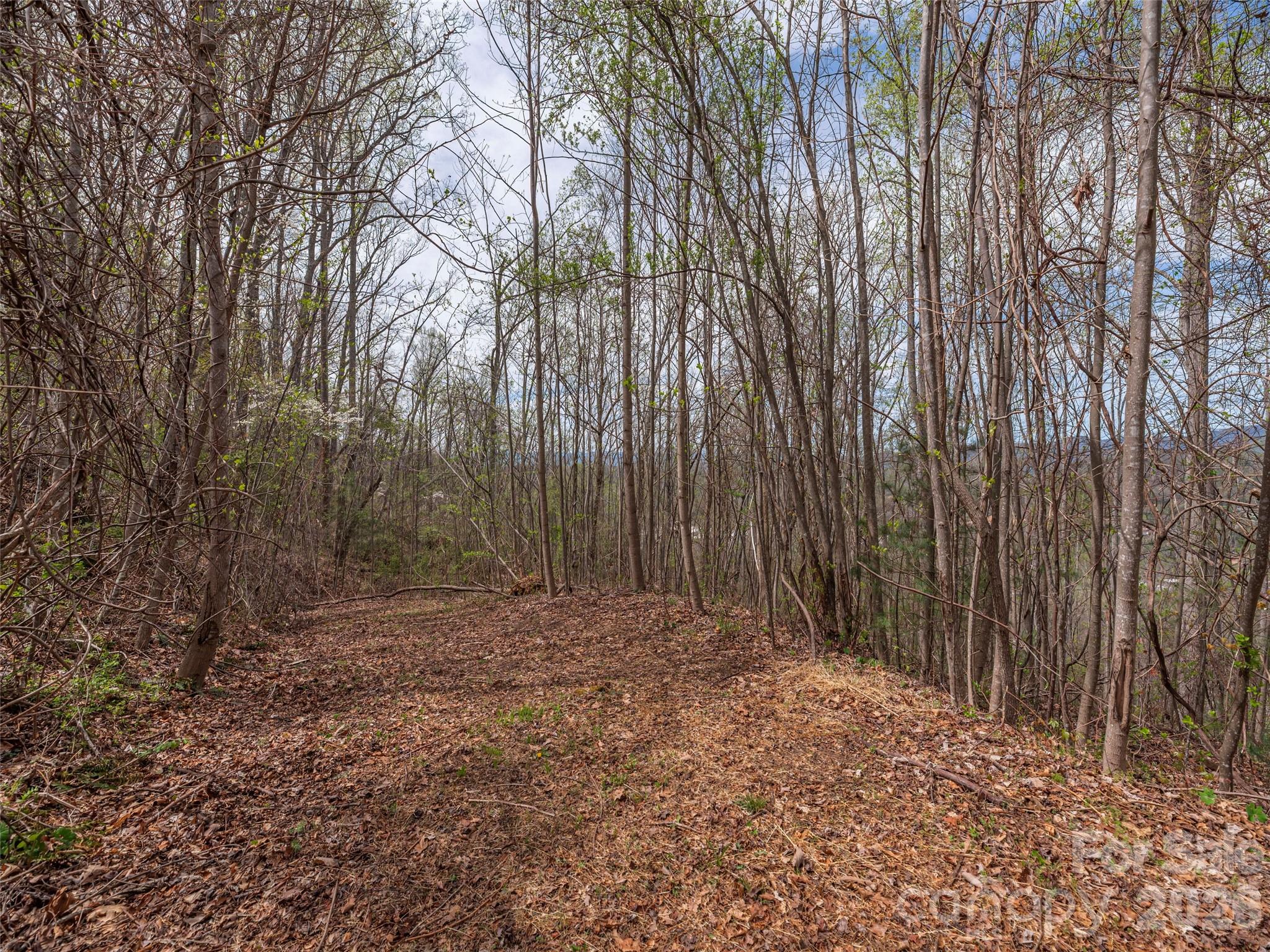 Lot at 137 & 145 Cedar Mountain Road, Asheville, photo 2 of 11