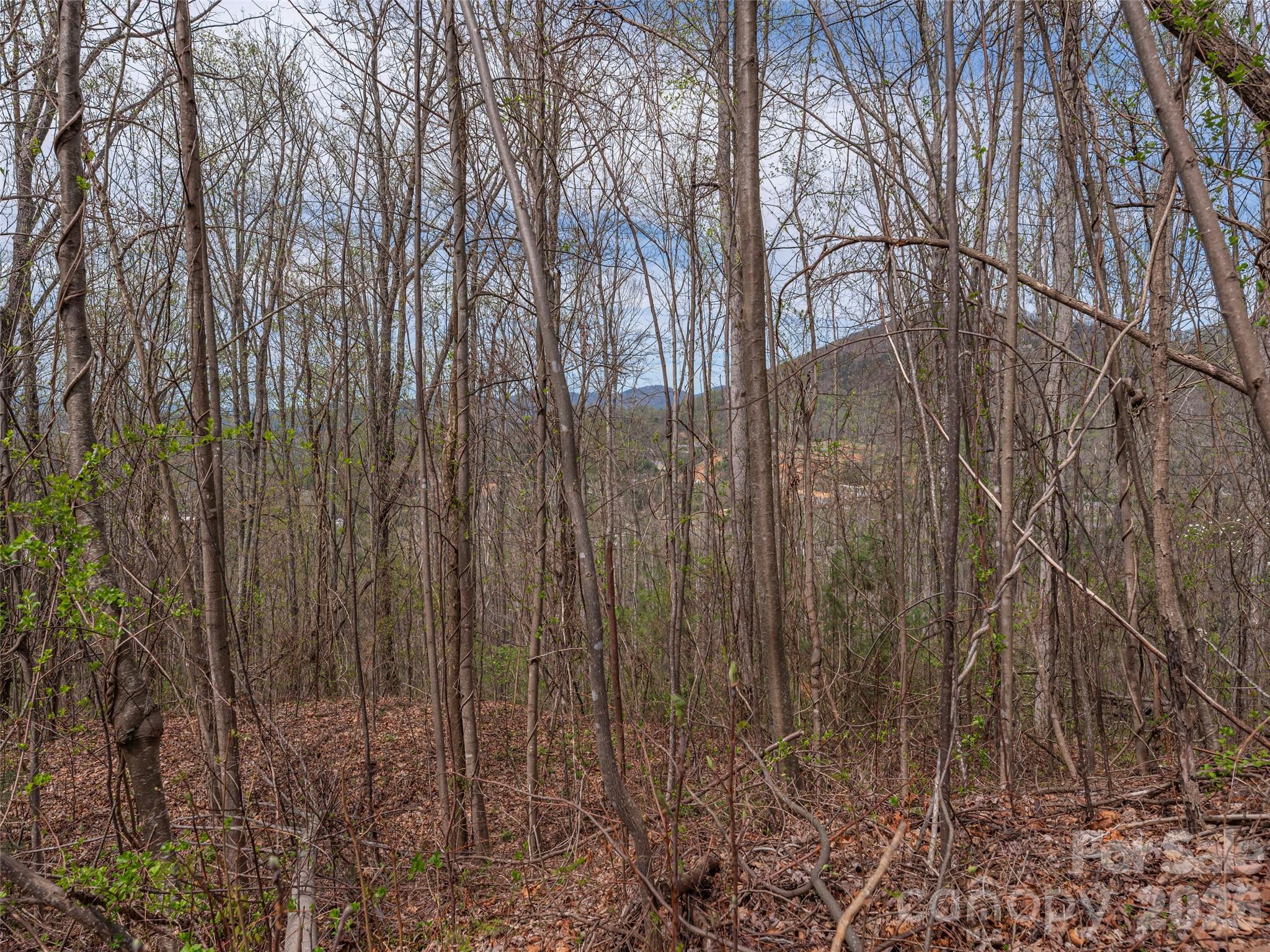 Lot at 137 & 145 Cedar Mountain Road, Asheville, photo 3 of 11
